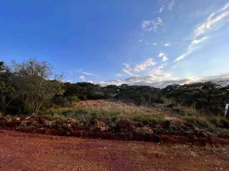 terreno en venta sn san jose de gracia marcos castellanos michoacan de ocampo pibvNZa