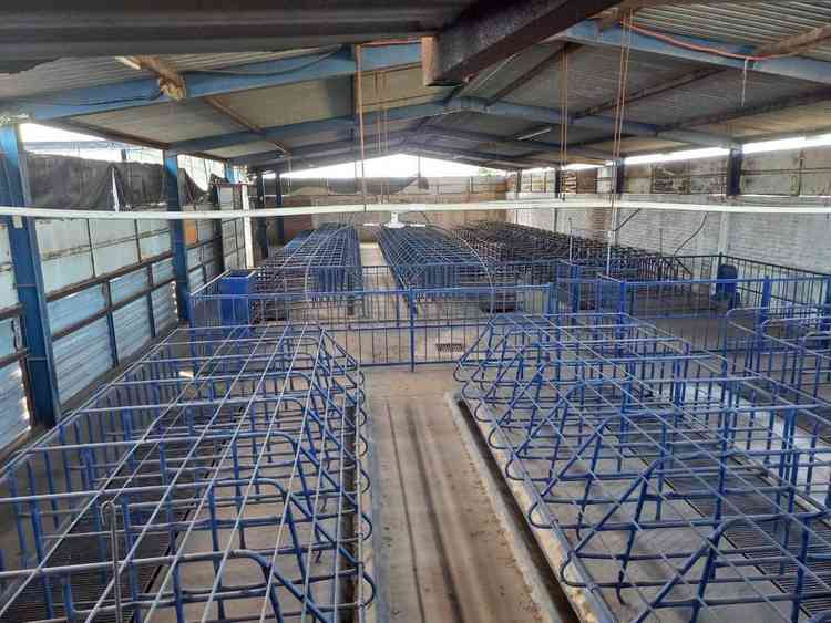 edificio industrial en venta lopez portillo san jose de gracia marcos castellanos michoacan de ocampo pr2XNBZ